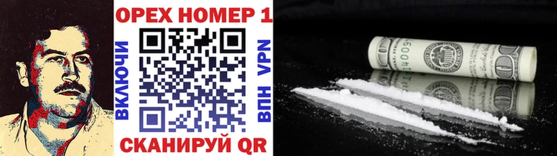 COCAIN Fish Scale  хочу наркоту  Курчалой 