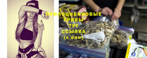 твердый Нея