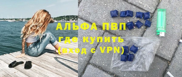 ешки Новодвинск