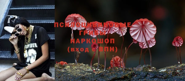 прущий лед Новозыбков