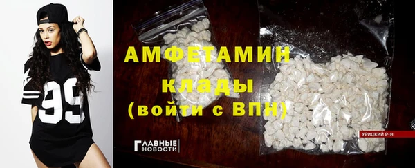 ешки Новодвинск
