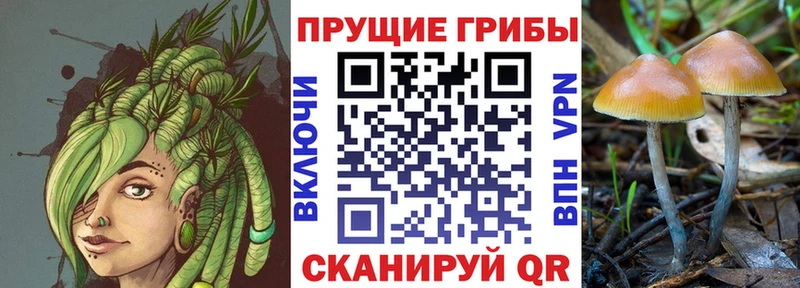 Галлюциногенные грибы ЛСД  закладка  Курчалой 