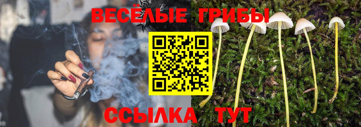 Курчалой  Галлюциногенные грибы мухоморы  Вход с VPN 