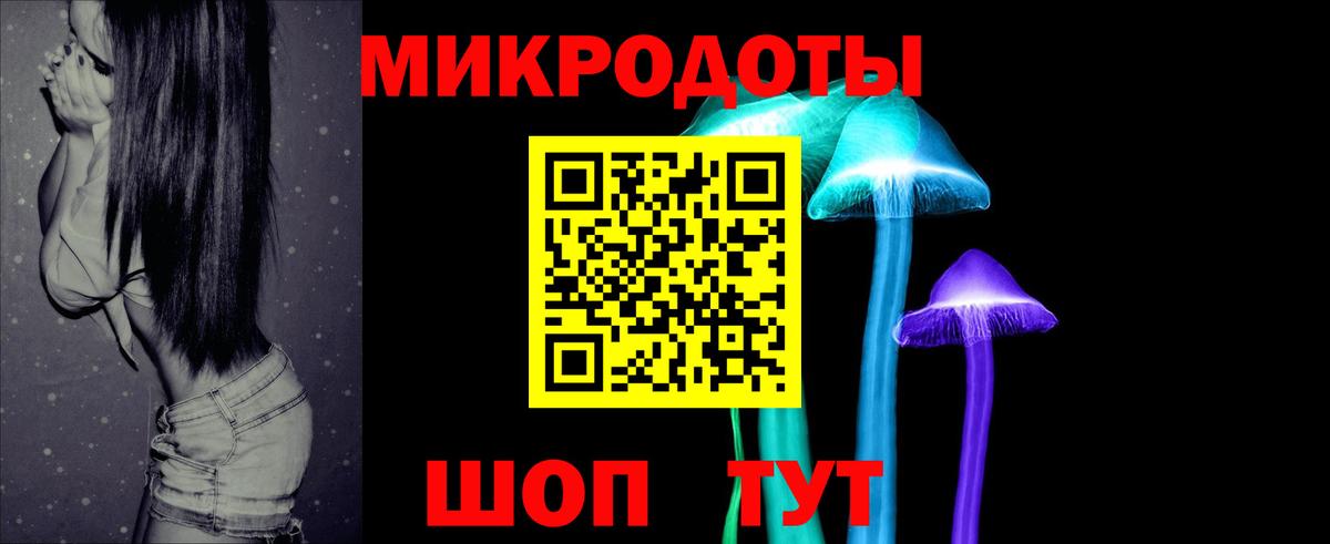 Галлюциногенные грибы прущие грибы Курчалой