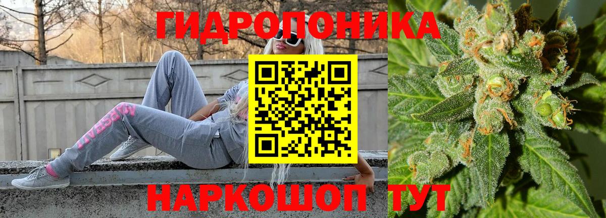 Канабис MAZAR  Шишки марихуана гибрид  Канабис Bruce Banner  Вход с VPN  Курчалой 
